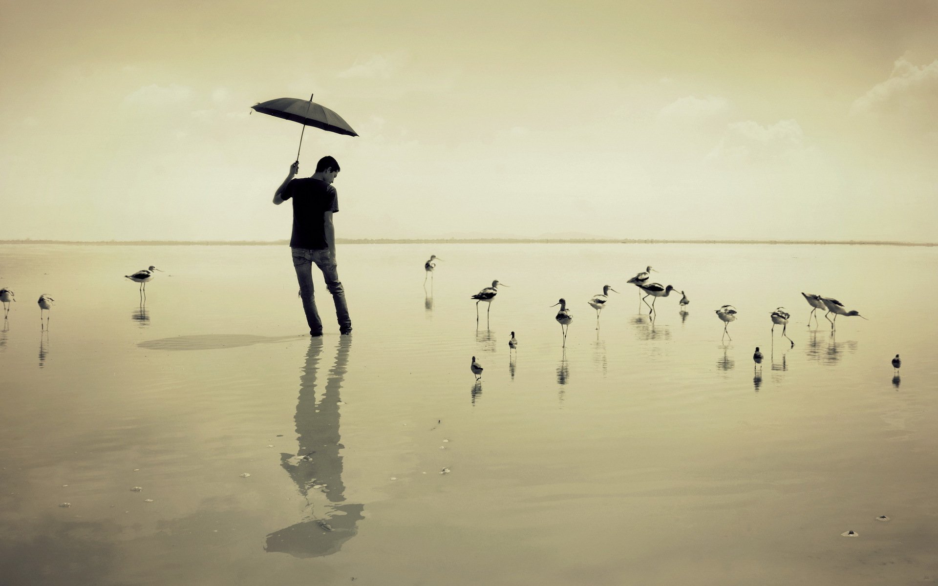 kerl meer regenschirm vögel