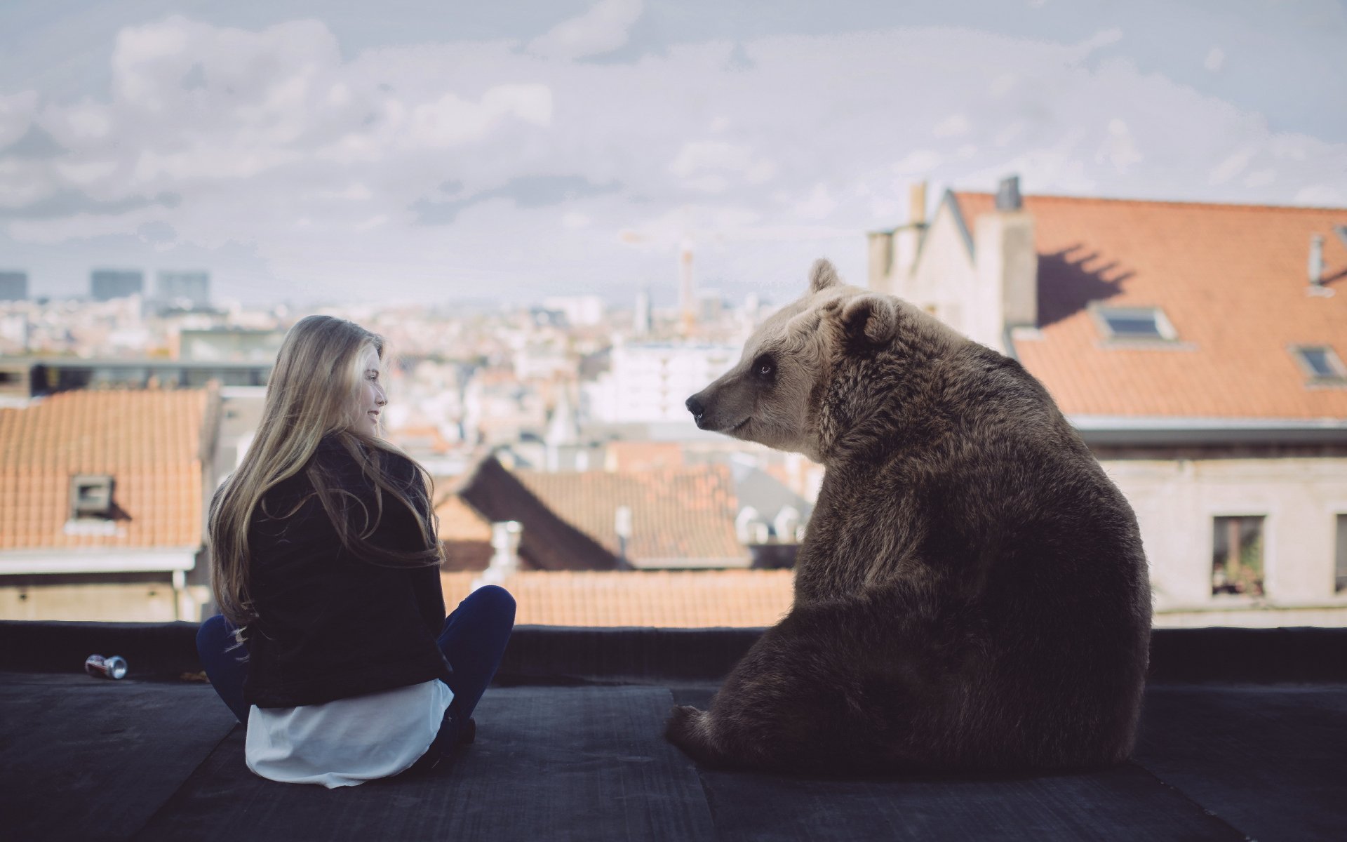 la jeune fille l ours la situation