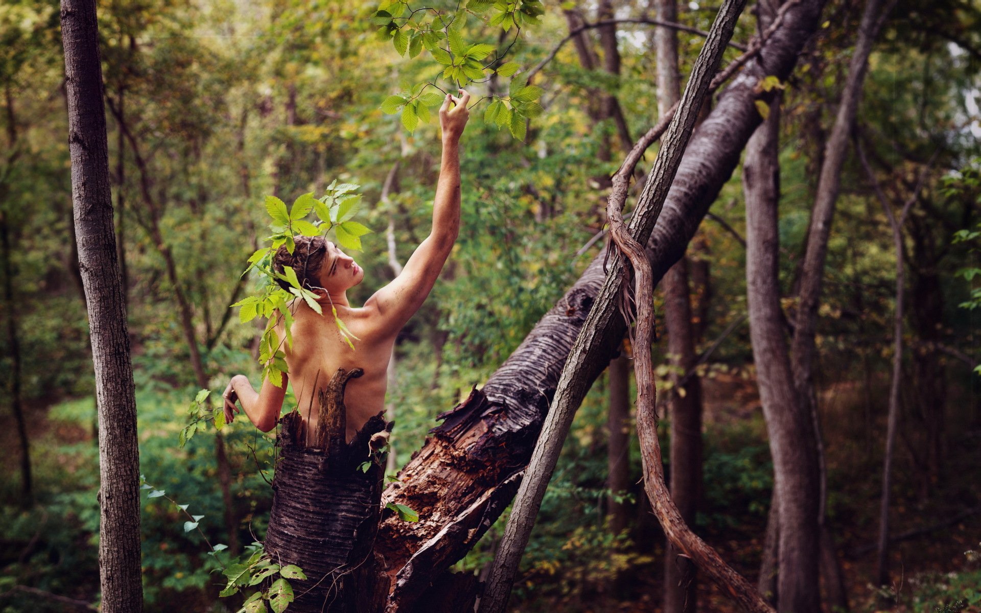 ragazzo albero foresta situazione