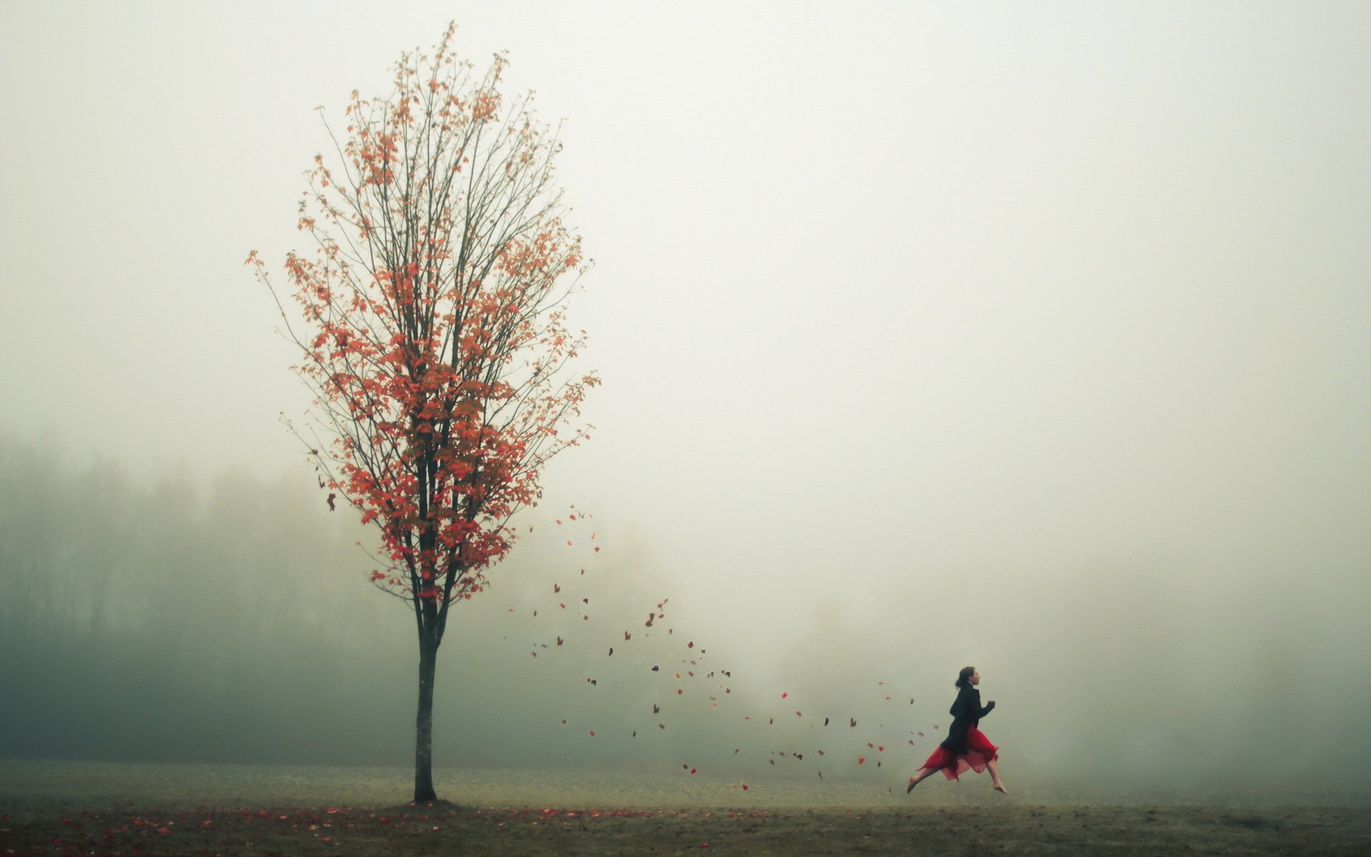 girl autumn leaves tree fog