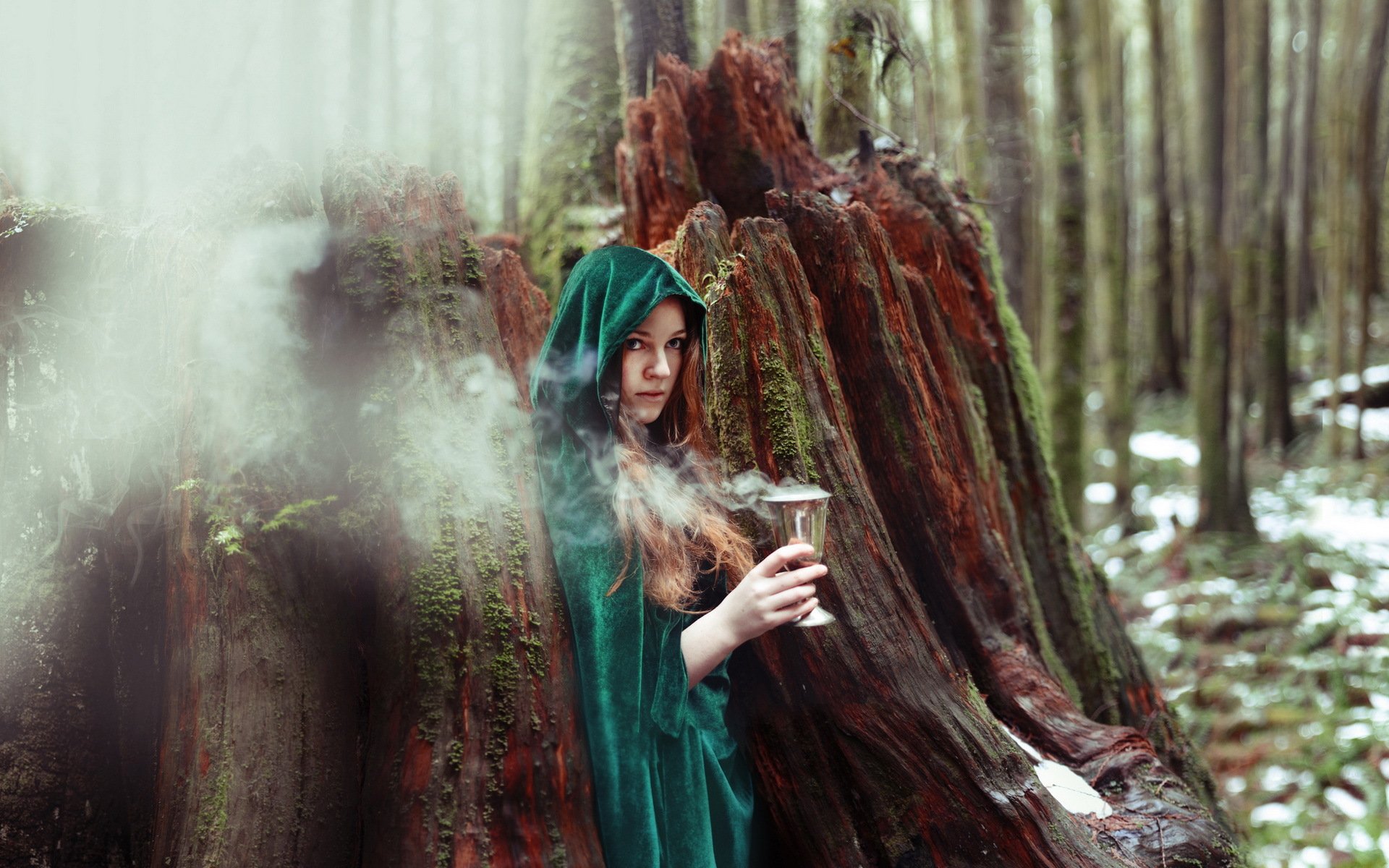 la jeune fille la sorcière de la forêt