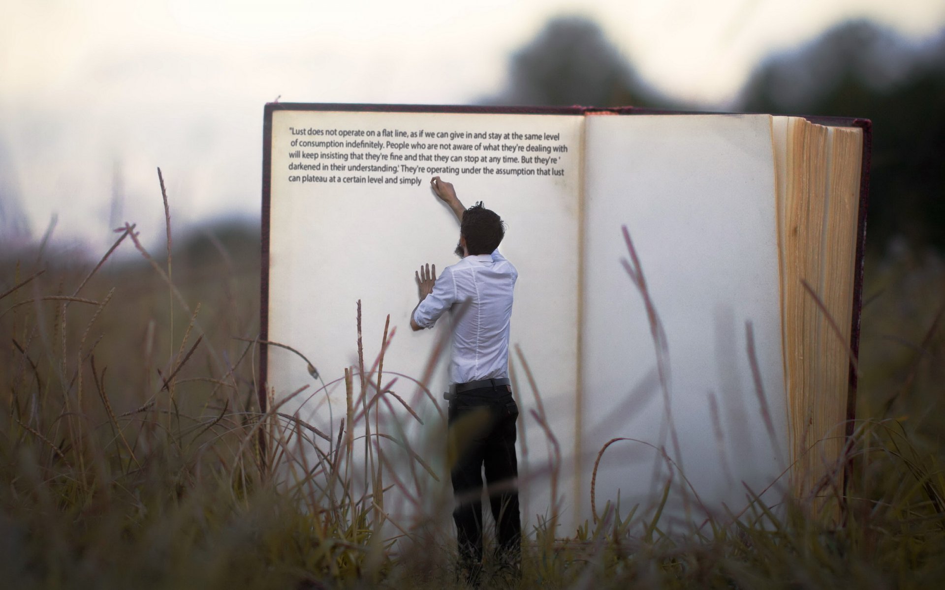 un homme un livre de l herbe