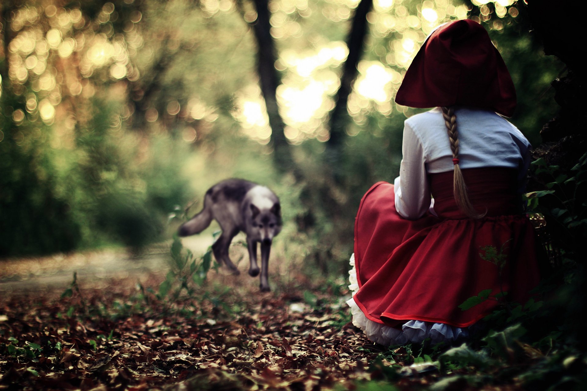 red hat dress sundress girl forest grey wolf