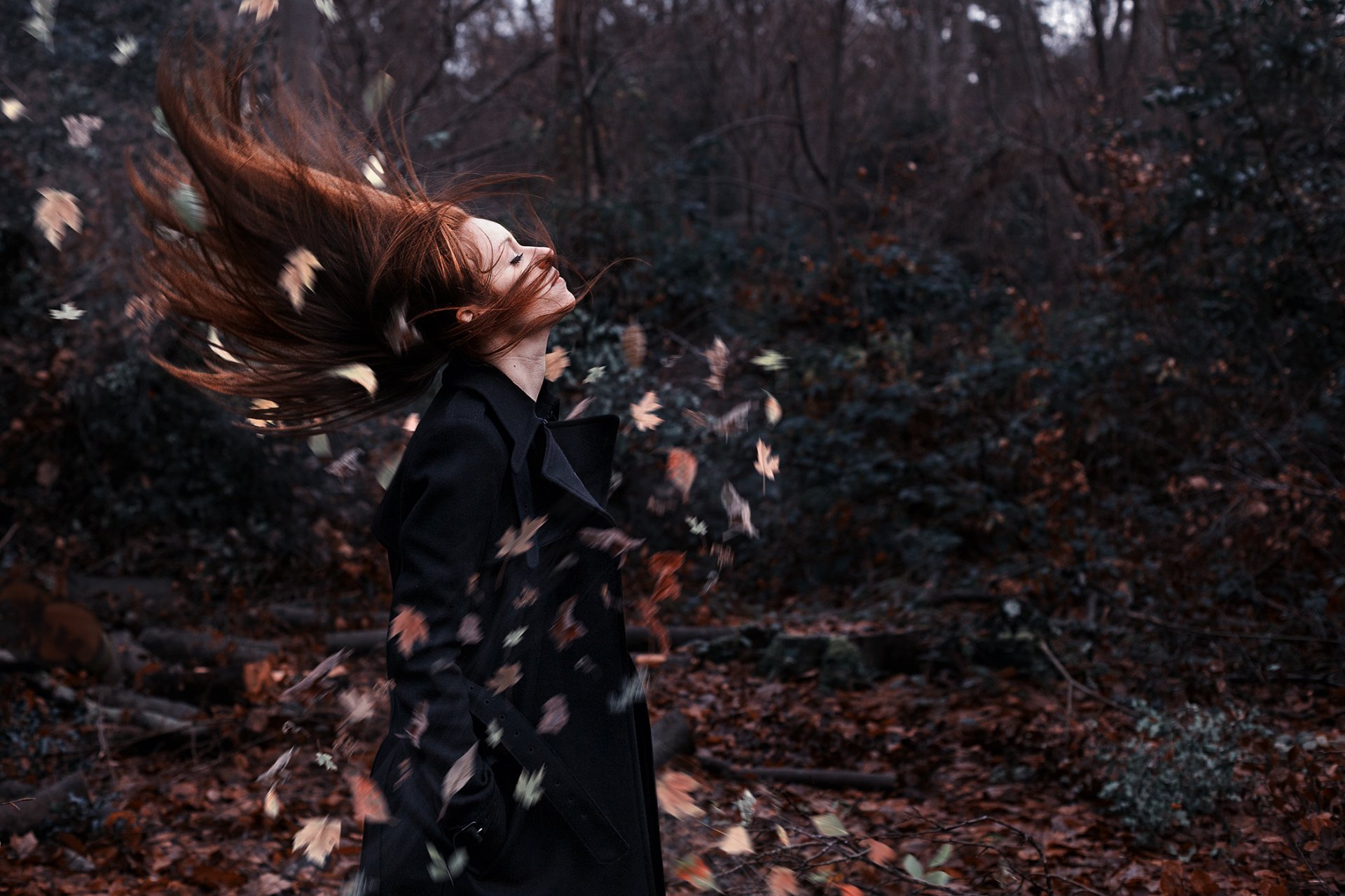 la jeune fille le vent les feuilles la situation