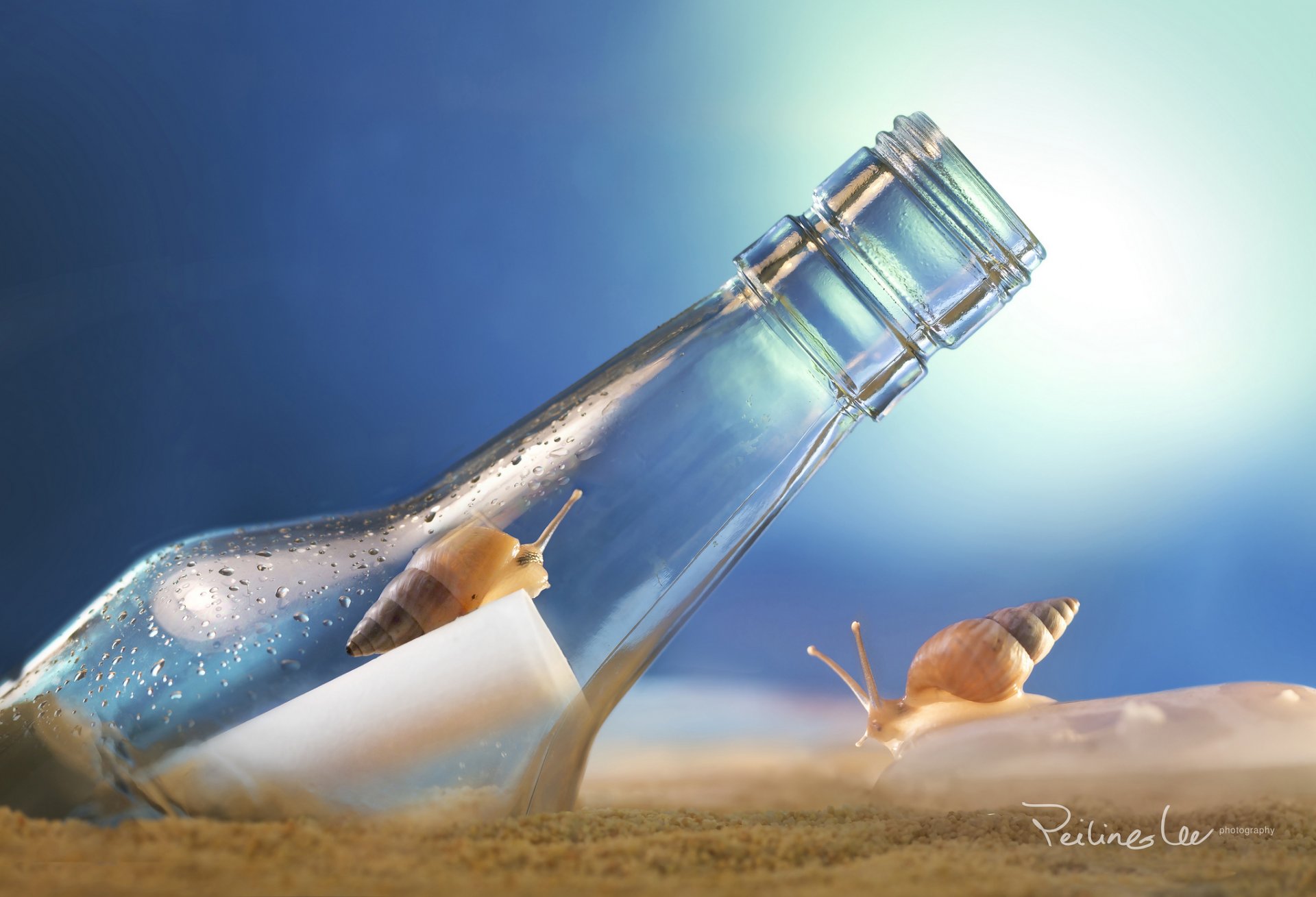 a bottle note snails two sand