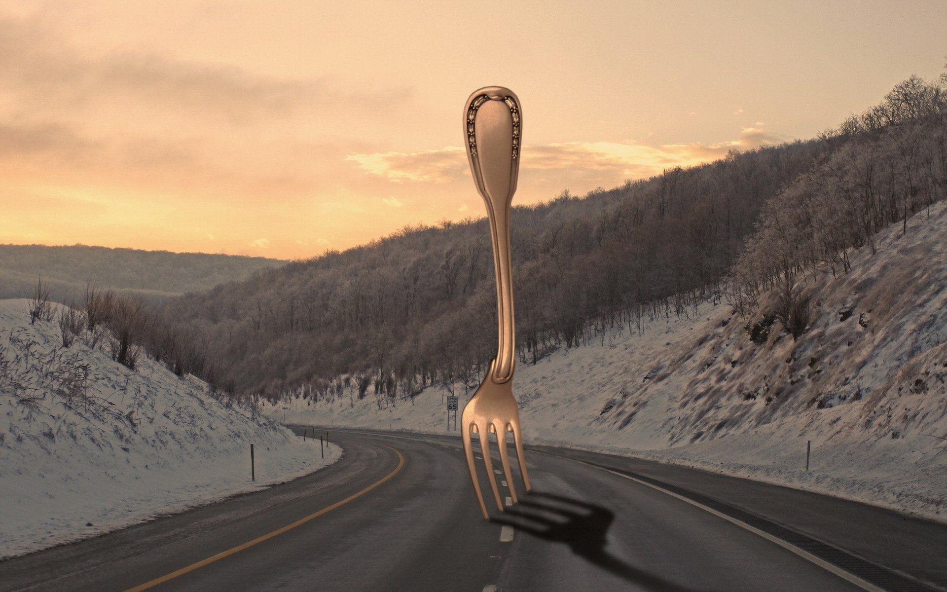 road fork the situation