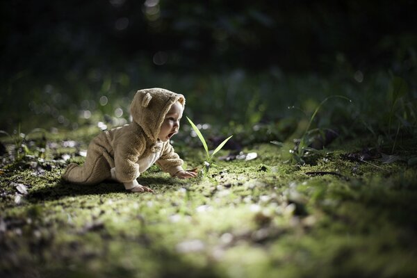 Photo du bébé à l herbe de rosée