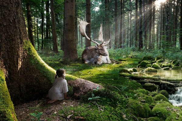 A girl watches a deer in the forest