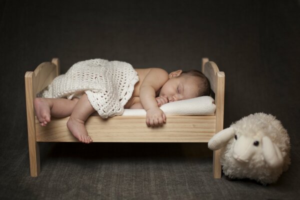 Crib baby sheep toy