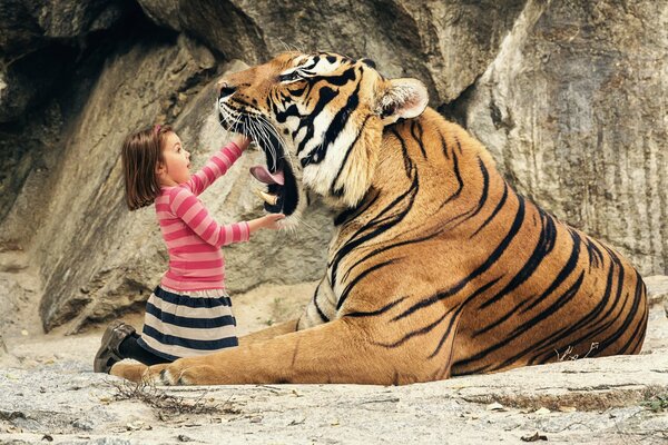 Una bambina guarda nella bocca di una tigre