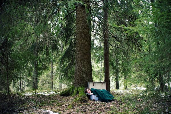 A girl sleeping in a suitcase in a mysterious forest