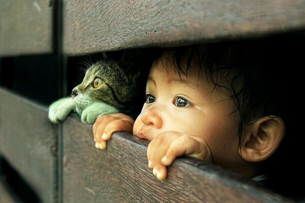 La amistad de un niño y un gato una mirada a lo desconocido