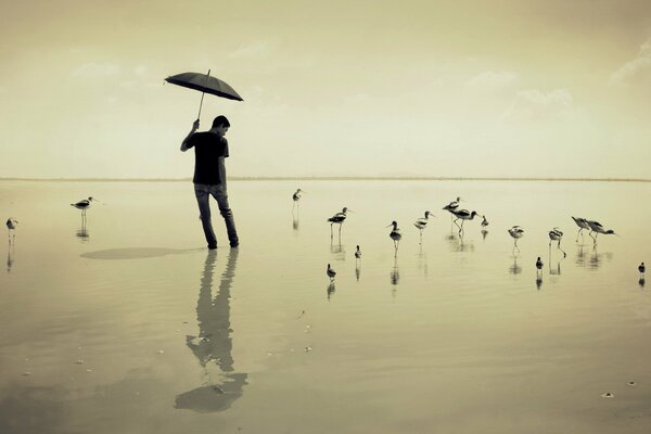 Guy avec un Parapluie sur la plage au loin de l oiseau