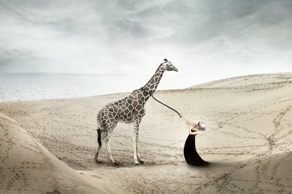 La jeune fille avec une girafe sur fond de dunes de sable