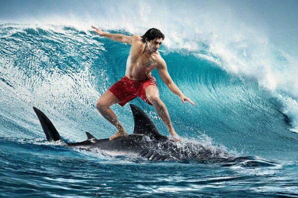 Shark surfer conquers the wave