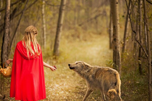 Rotkäppchen lockt einen Wolf im Wald an