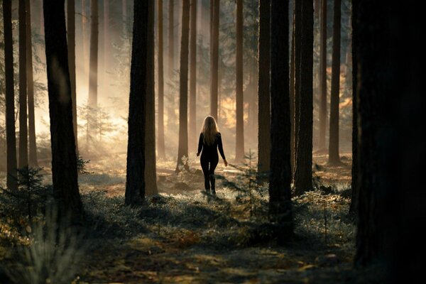 Mince fille dans la forêt au coucher du soleil