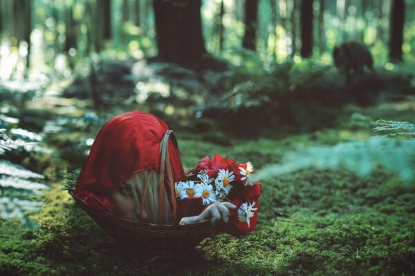 Tête de petit Chaperon rouge dans les bois