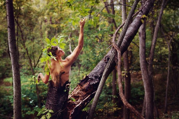 Mann zeigt einen Baum im Wald