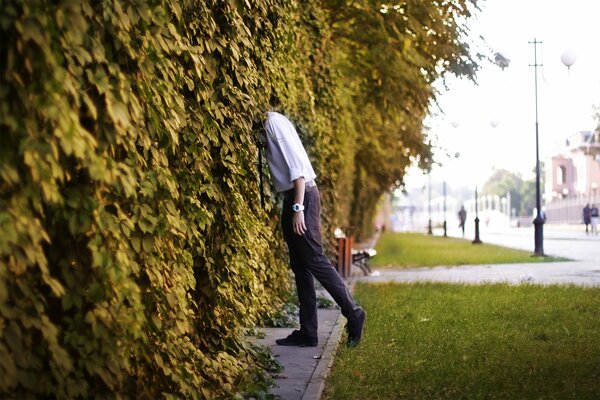 Fotoshooting für einen Kerl auf der Straße mit wilden Trauben