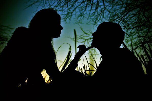 Siluetas chico y chica en la hierba