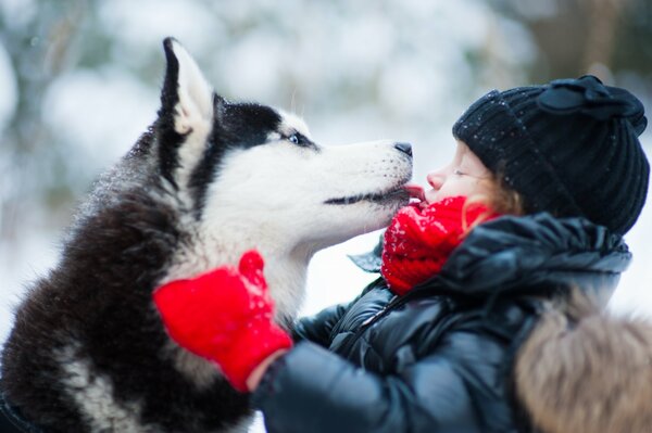 Mignon le portrait d un enfant avec un chien husky