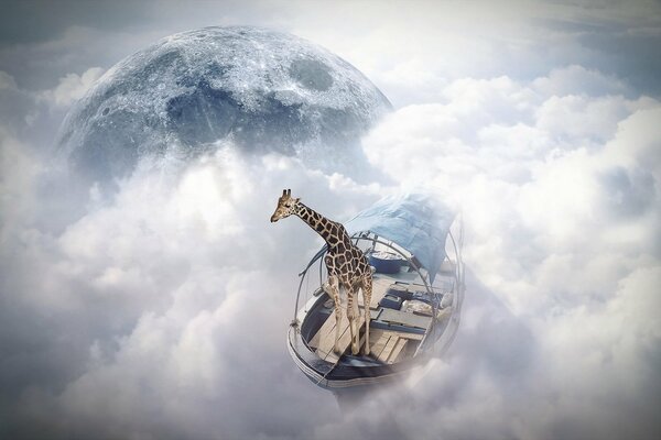 Giraffe floats on a ship in the clouds