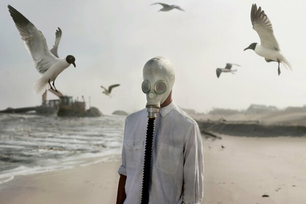 Birds at sea with a man and a gas mask