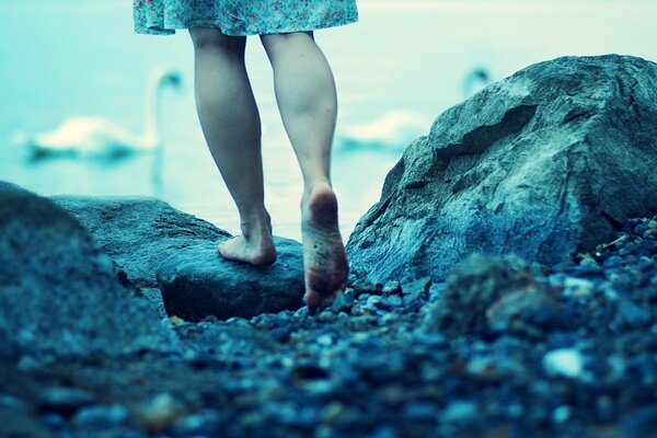 Against the background of water, a girl in a blue dress watches swans