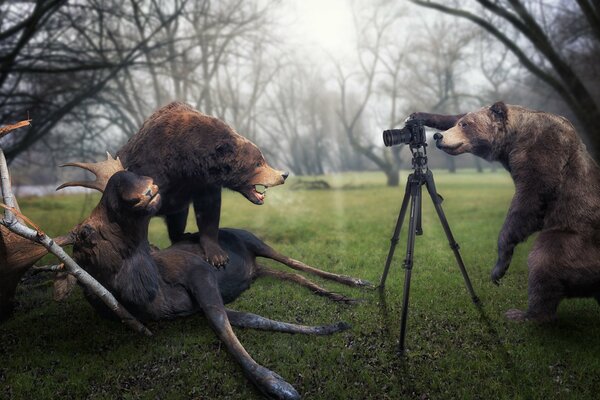 One meved stepped on a moose and poses, and the second shoots it on a camera on a tripod