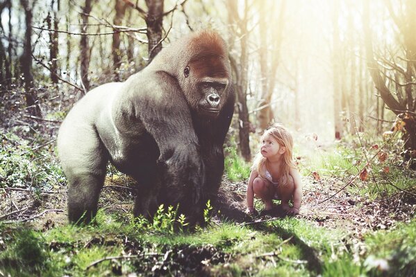 A little girl squats in the forest and looks at a gorilla