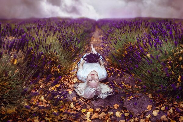 Autumn lavender field. A blonde in white lies on the ground among flowers