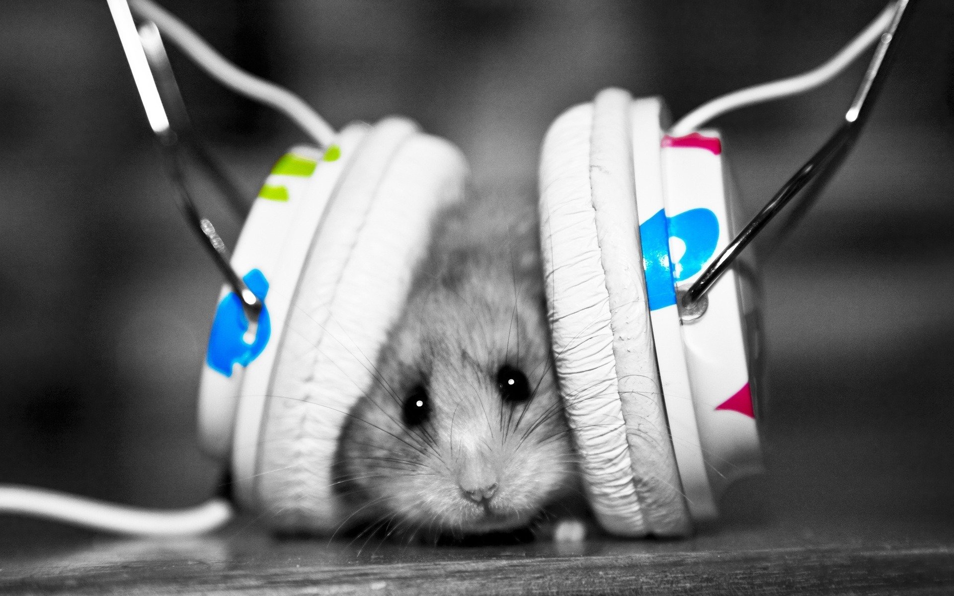 mouse headphones music