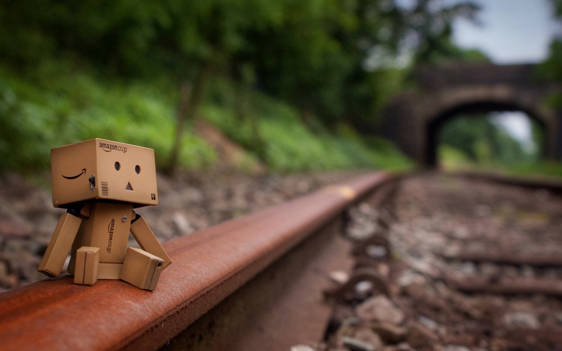 danbo коробочка рельсы грусть