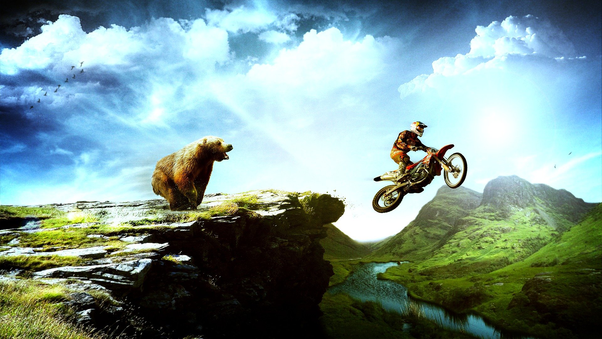 bear rider peyzash mountain bird