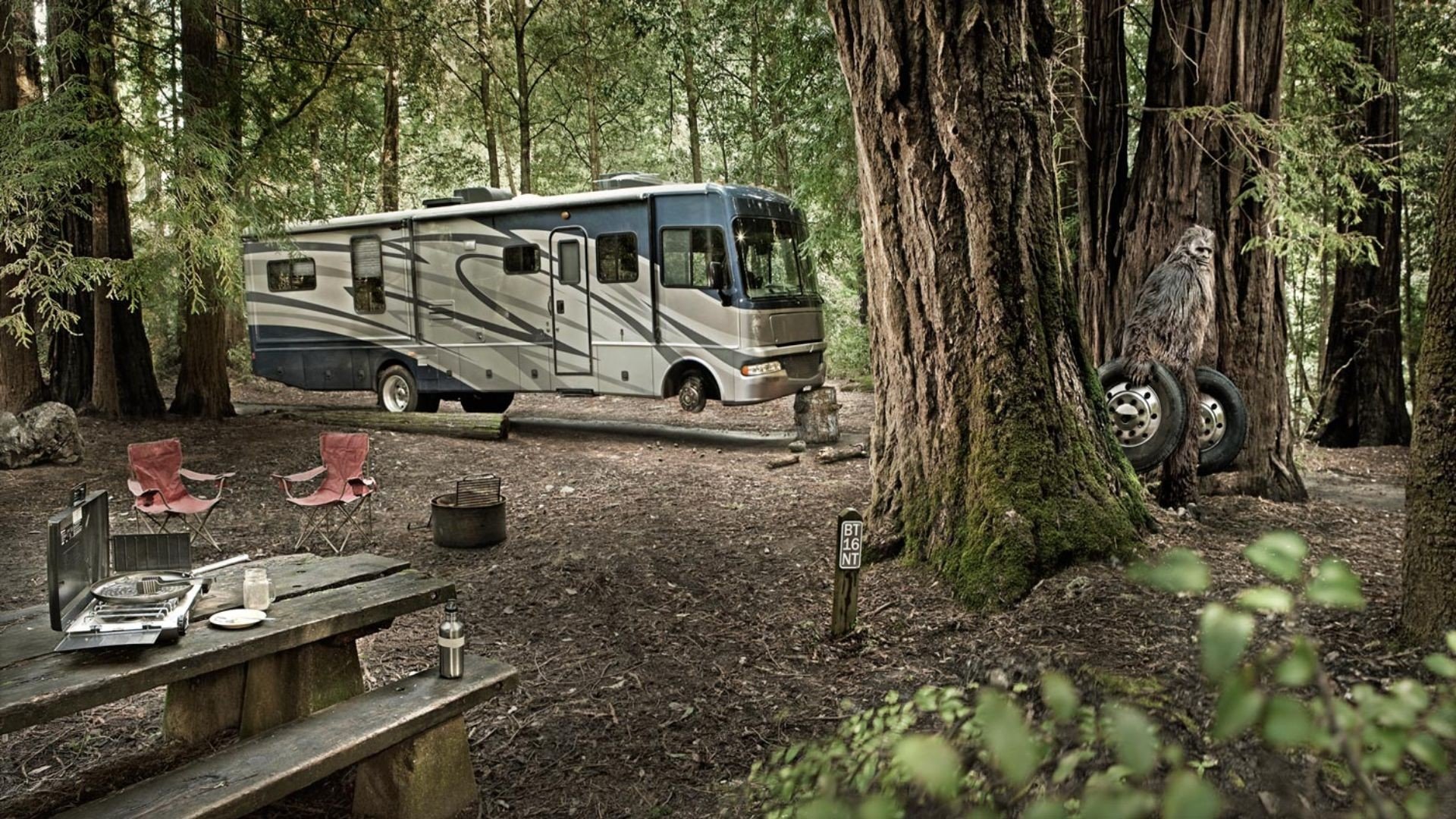 foresta campeggio autobus ruote yeti