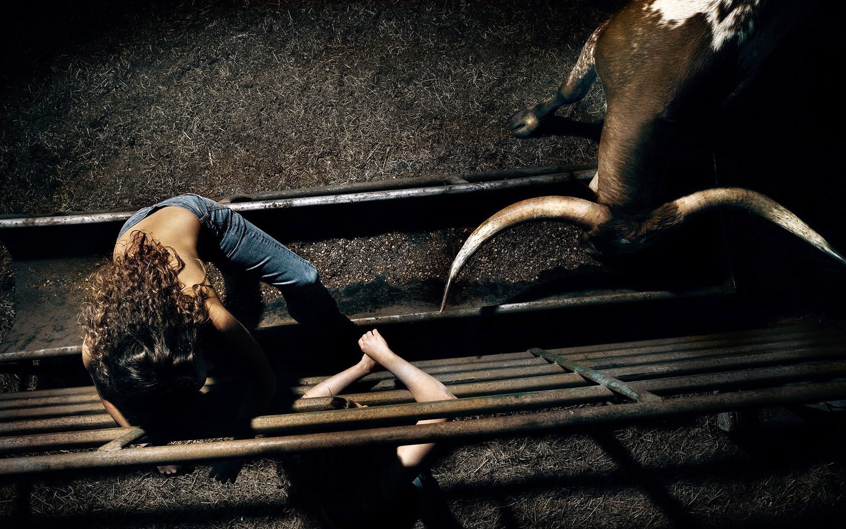 bull arena girl enclosure horn