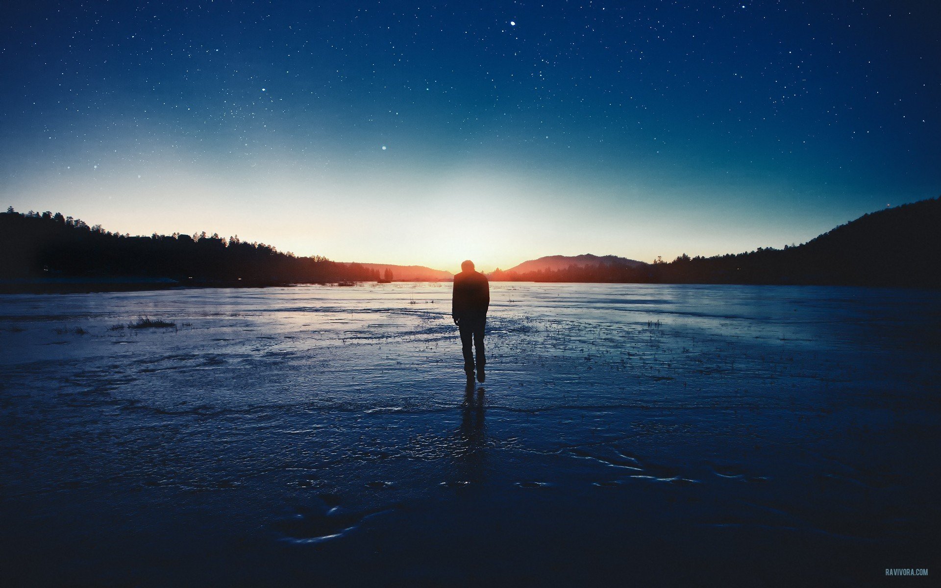 el camino las estrellas la soledad