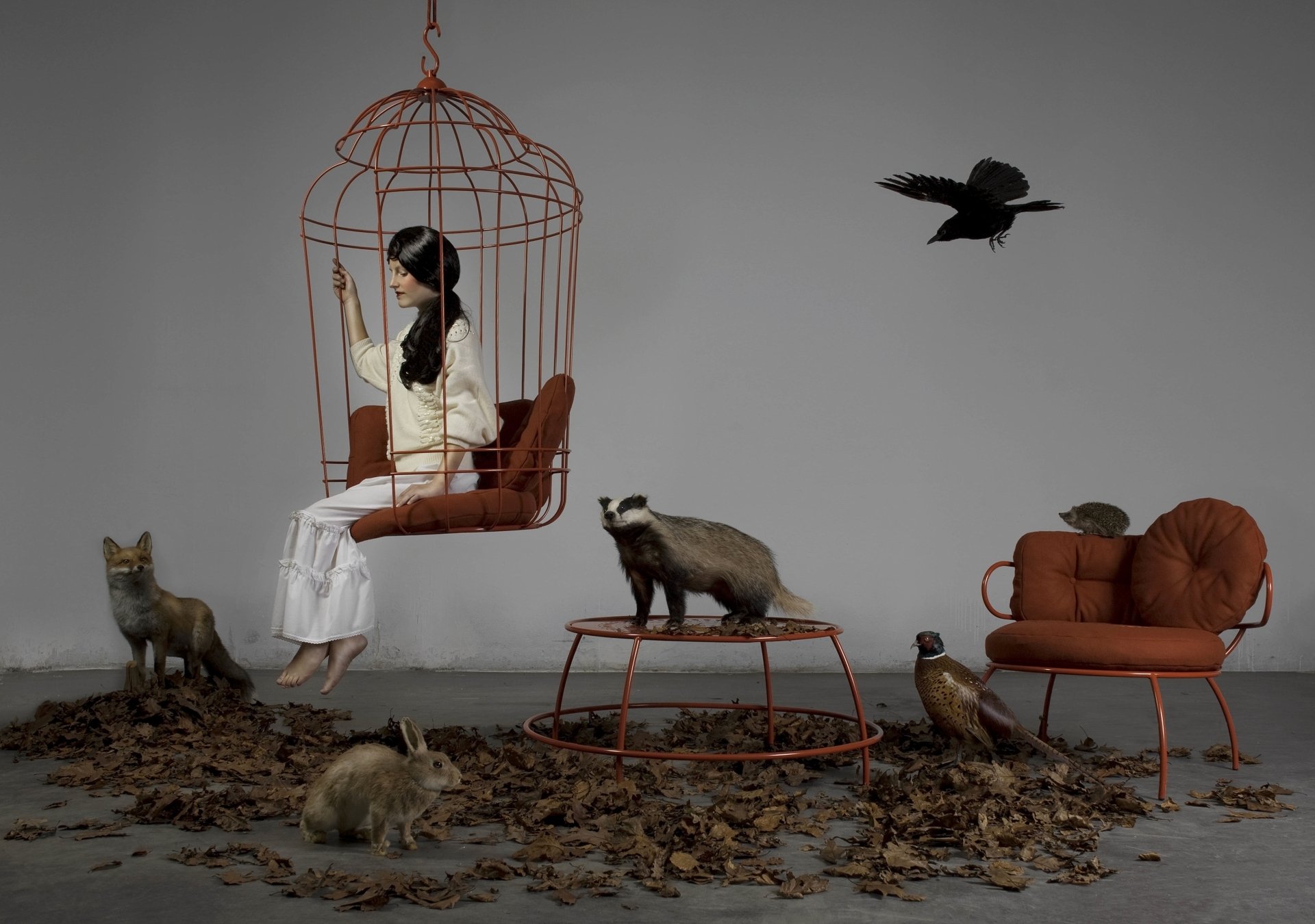 girl brunette cage animals animals stuffed badger hare fox pheasant crow chair table.leave