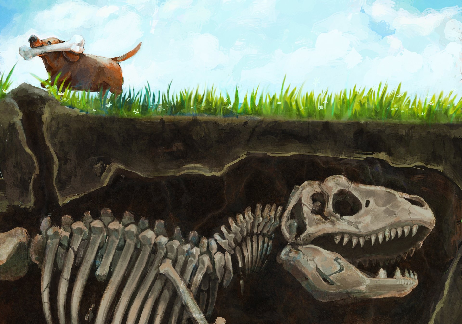 art dog bone dinosaur skeleton land gra