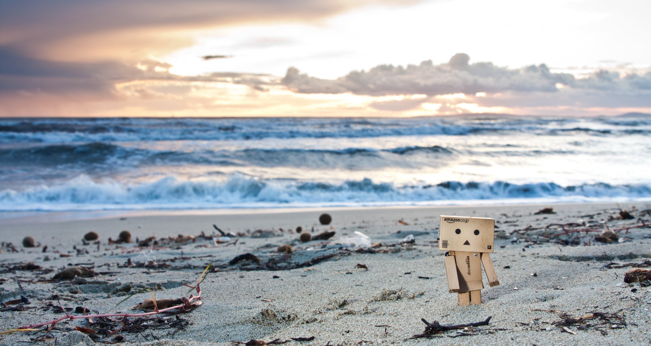 danbo danbo spiaggia tramonto figura giocattolo sabbia alghe