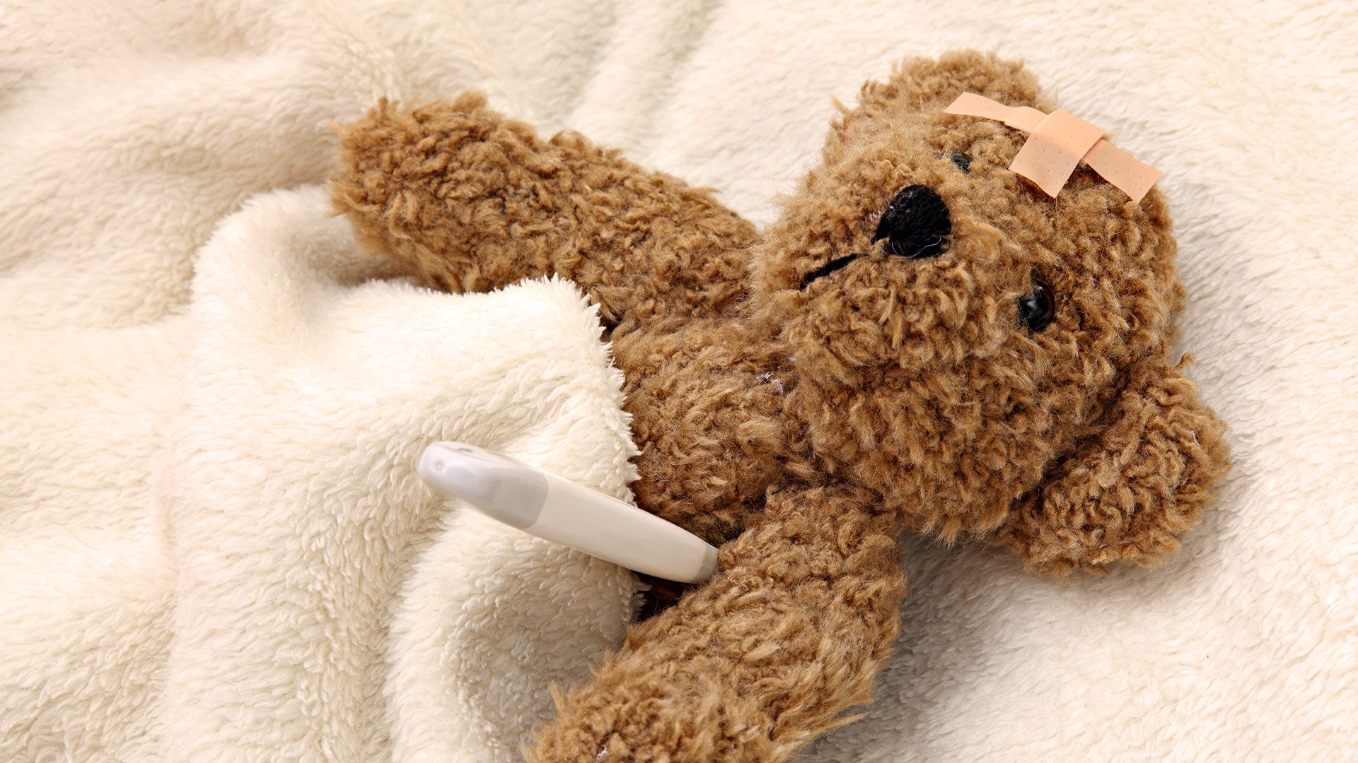 oft toys disease teddy bear thermometer blanket band-aid