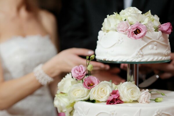 El pastel de bodas corta a la novia