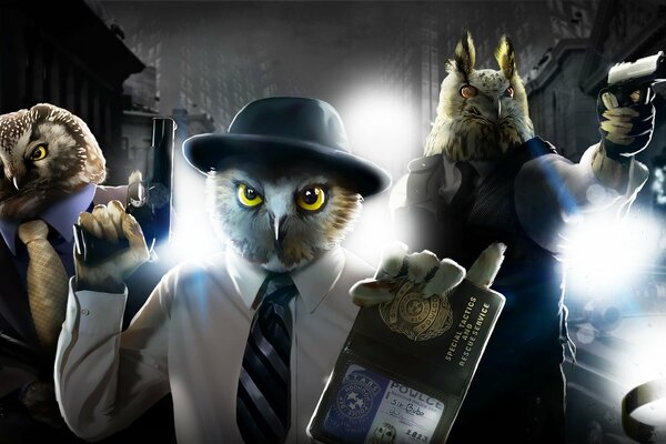 Owls are special Investigations Department