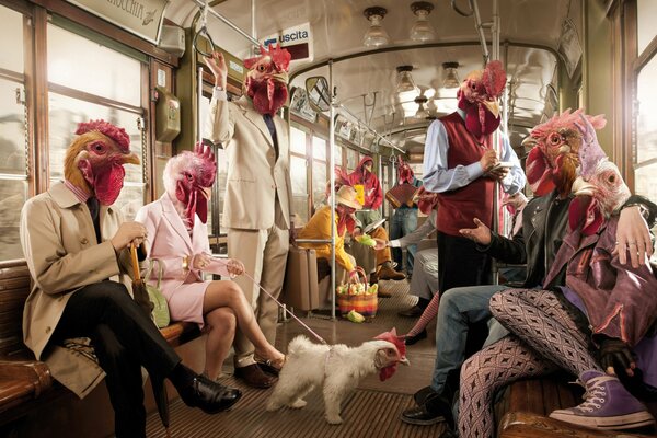 Chickens ride in a subway car