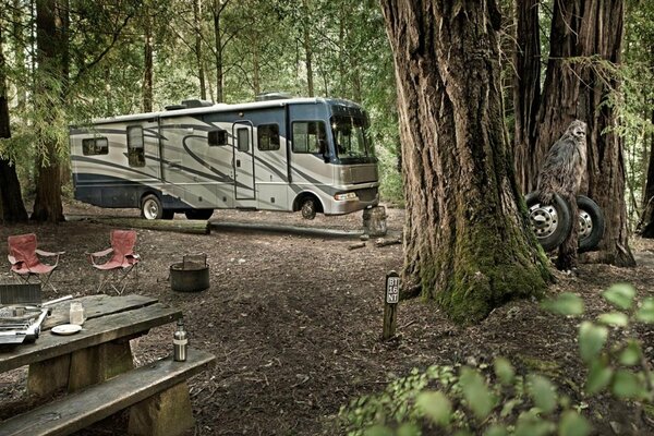 Im Wald steht ein Bus ohne Vorderräder