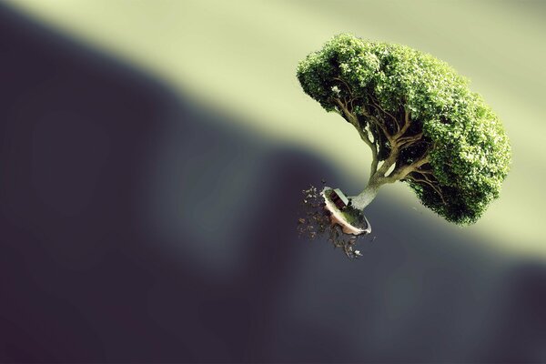 A tiny tree with a tile ikebana floating in zero gravity