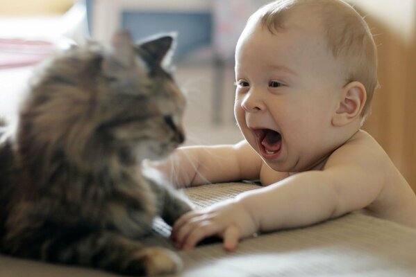 El bebé juega alegremente con el gato