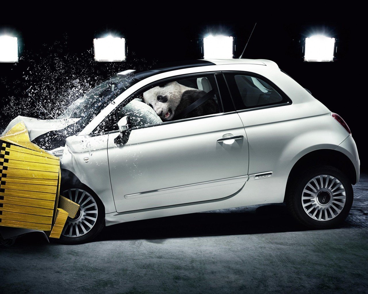 crash-test le panda