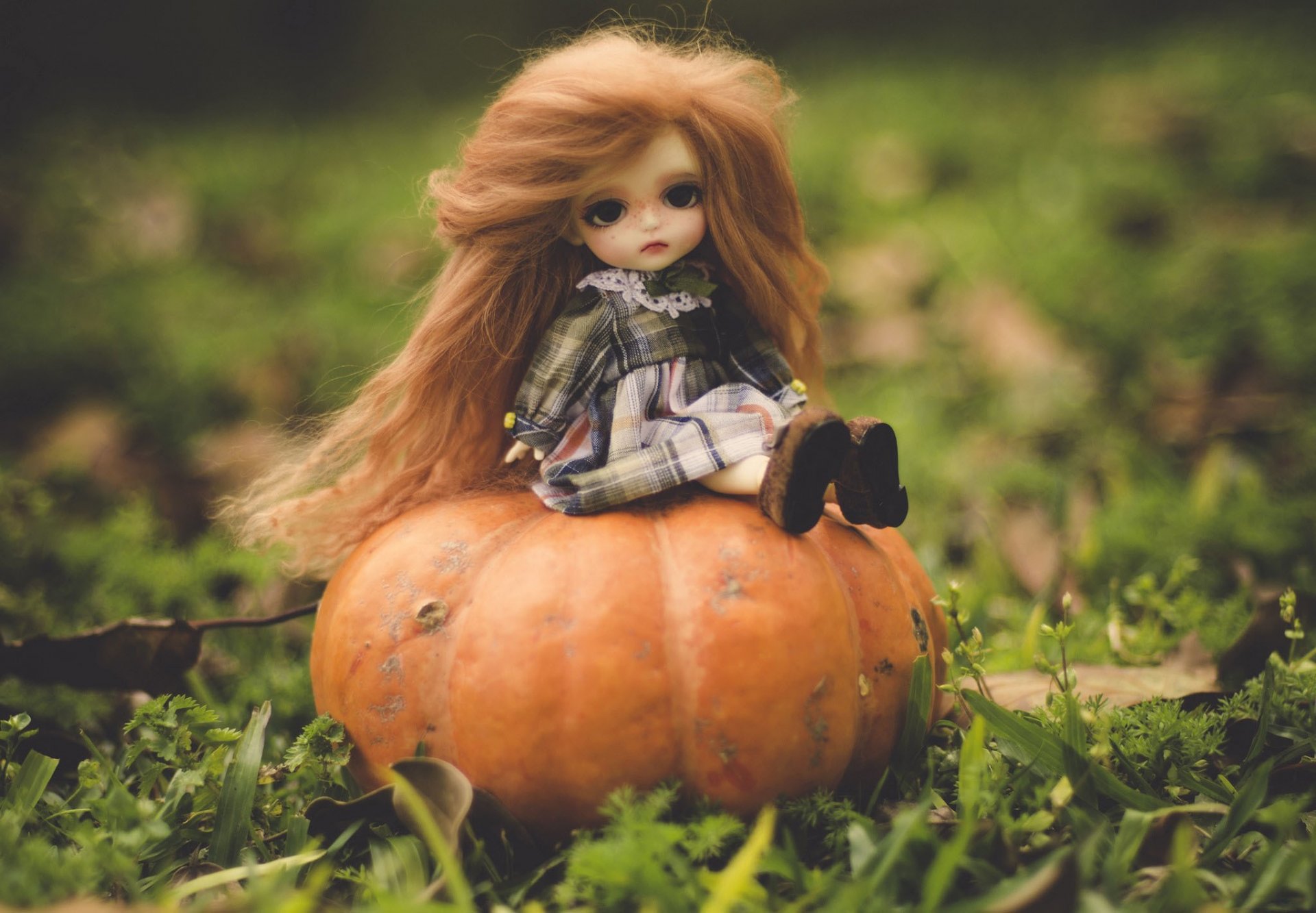 doll toys red long hair sitting pumpkin nature